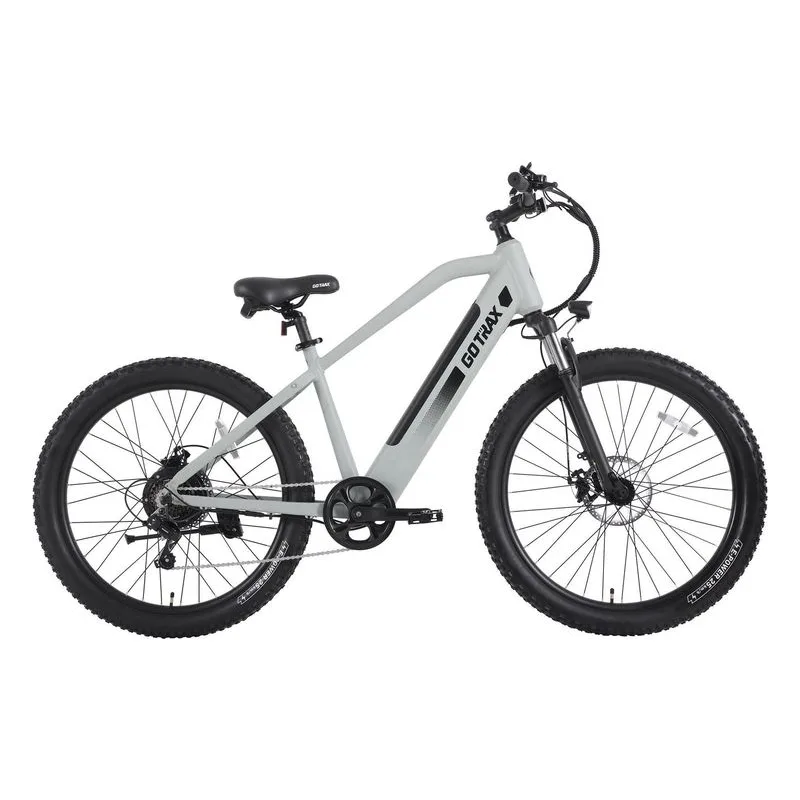 GOTRAX Braeburn